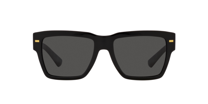 DOLCE & GABBANA DG4431 Sunglass