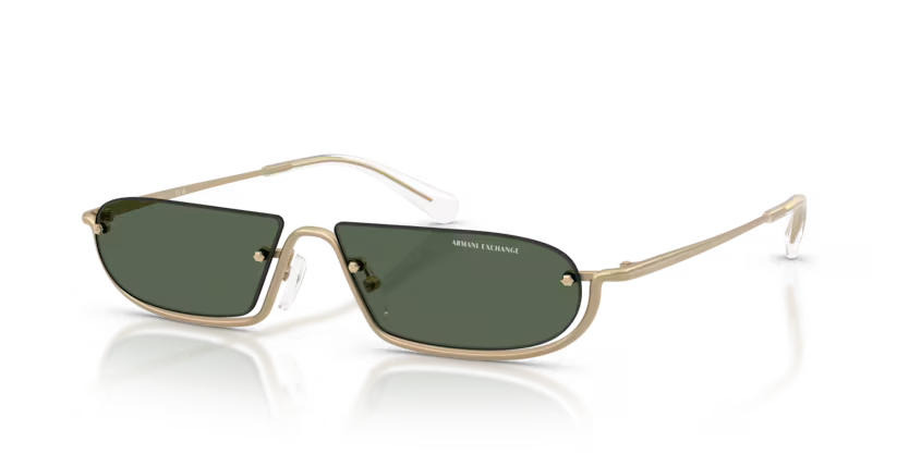 ARMANI EXCHANGE AX2058S Sunglass