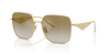 DOLCE & GABBANA DG2310 Sunglass