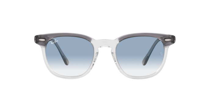 RAY-BAN RB2298 Sunglass