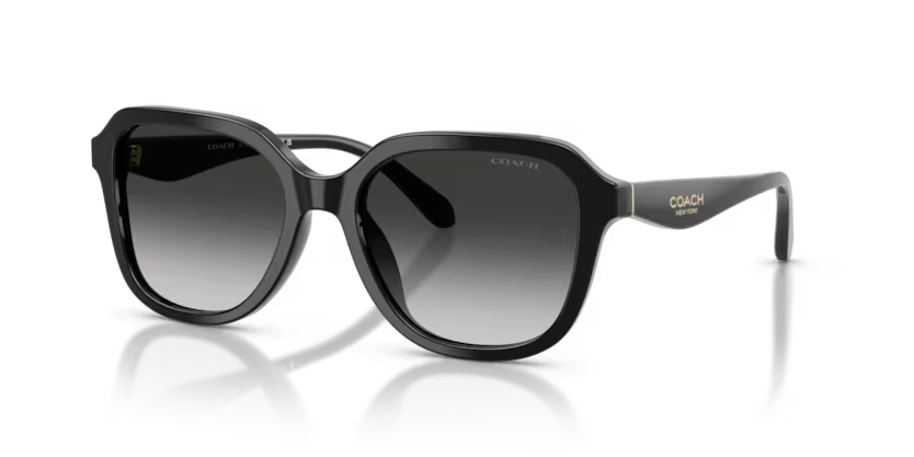 COACH HC8437U Sunglass online in India – branded UV protection shades