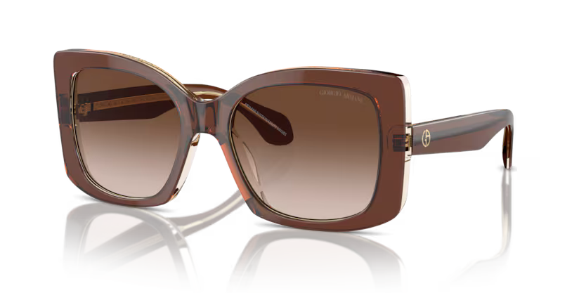 GIORGIO ARMANI AR8208U Sunglass