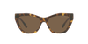 EMPORIO ARMANI EA4176 Sunglass