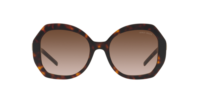 GIORGIO ARMANI AR8180 Sunglass