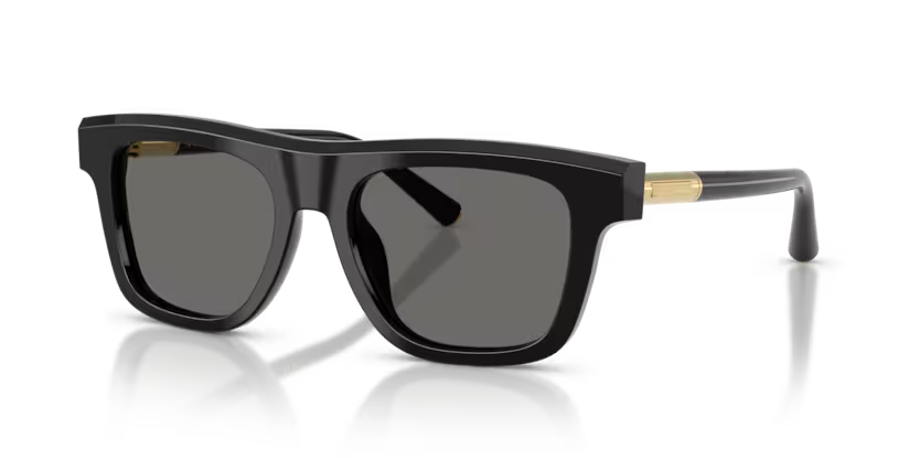 DOLCE & GABBANA DG4521 Sunglass