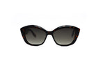 KARL LAGERFELD KL6102 Sunglass | High end fashion sunglasses | SpecsBunker India – branded sunglasses in India