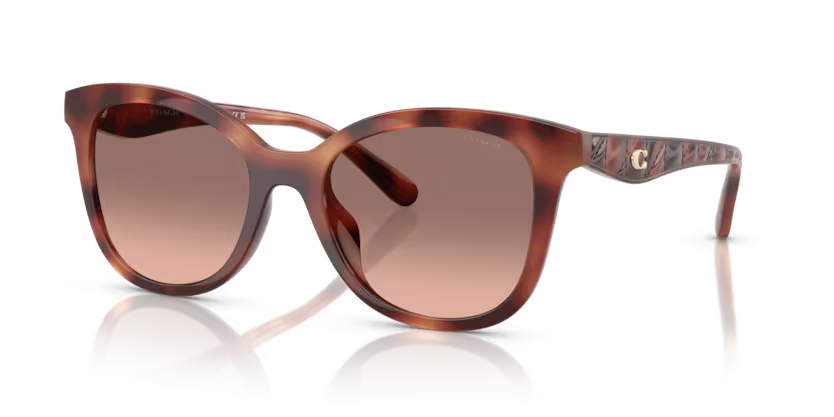 COACH HC8419U Sunglass online in India – branded UV protection shades