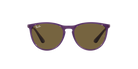 Ray-Ban Sunglass