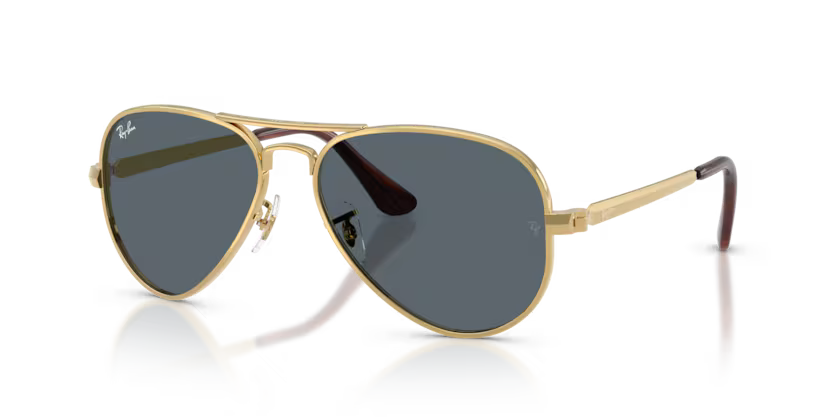 RAY-BAN RB3925 Sunglass