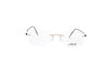 SILHOUETTE 5569/DN Optical Frame | Premium optical frames | SpecsBunker India| luxury eyeglasses online in India