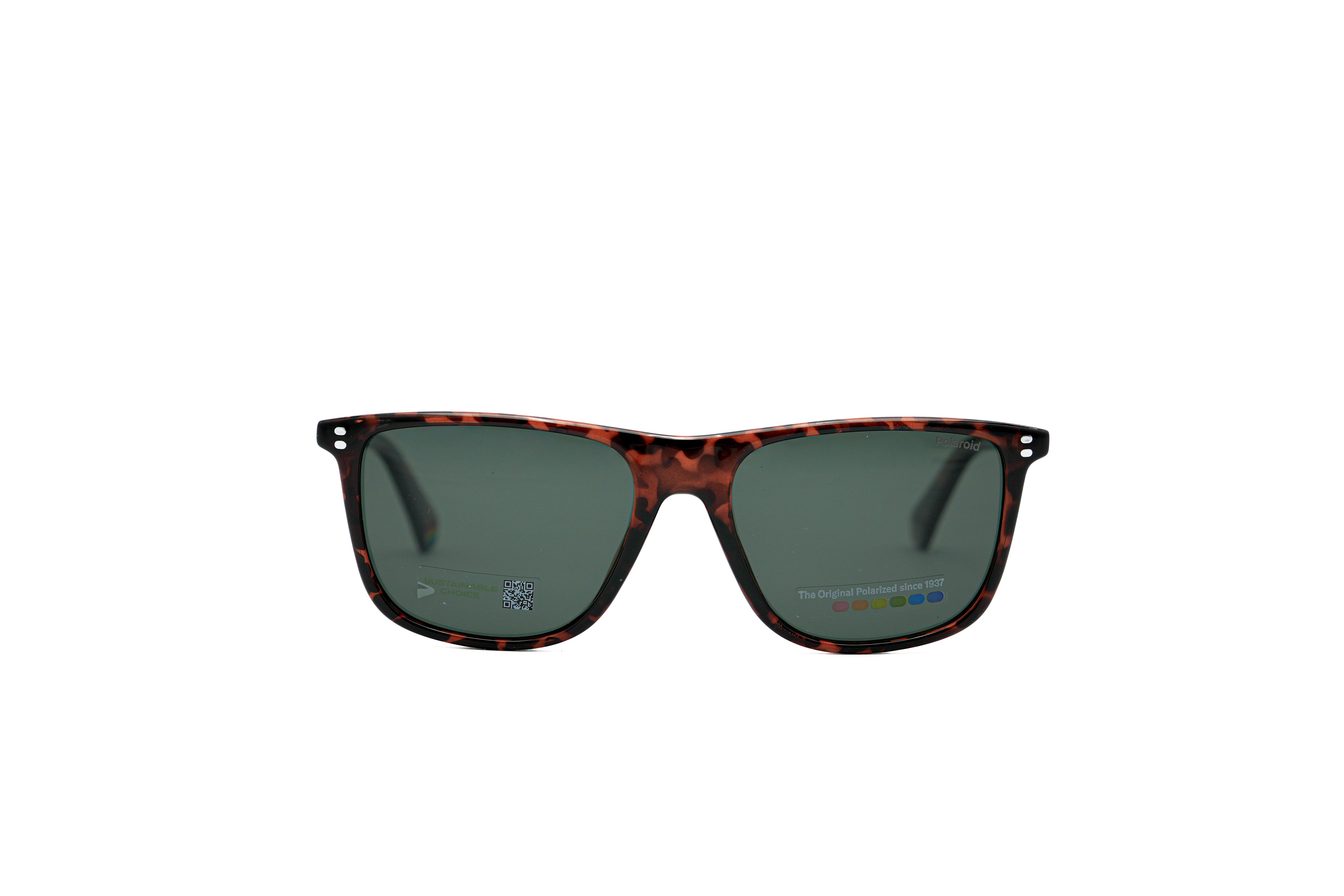 POLORIOD 6232 Sunglasses | Designer sunglasses for men and women | SpecsBunker India |premium sunglasses collection