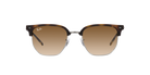 Ray-Ban Sunglasses