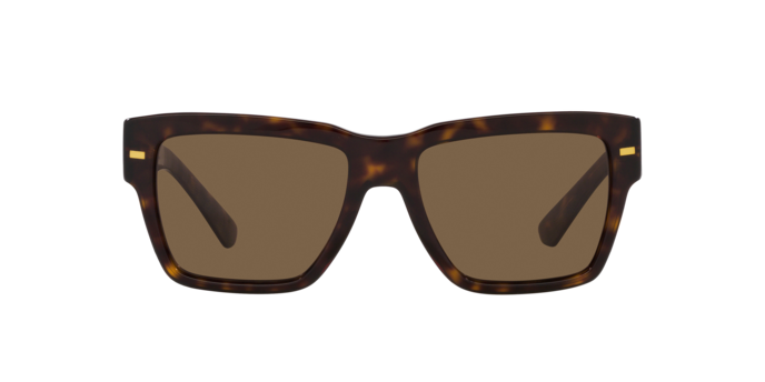 DOLCE & GABBANA DG4431 Sunglass