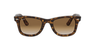 Ray-Ban Sunglass