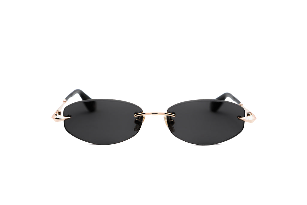 ROBERTO CAVALLI SRC207M Sunglass