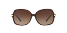 MICHAEL KORS MK2024 Sunglasses | Luxury designer eyeglasses | SpecsBunker India – designer optical eyewear