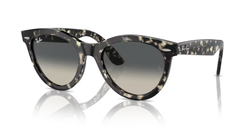 RAY-BAN RB2241 Sunglass