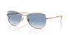 RAY-BAN RB3733 Sunglass
