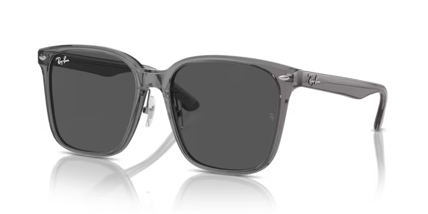RAY-BAN RB2206D Sunglass