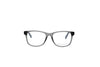 FRENCH CONNECTION FC8313 Optical Frames