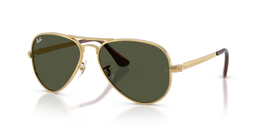 RAY-BAN RB3925 Sunglass