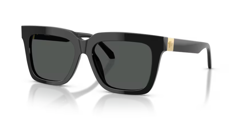 VERSACE VE4498 Sunglass