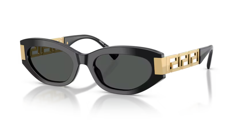 VERSACE VE4501 Sunglass