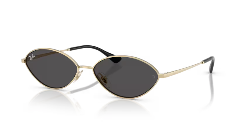 RAY-BAN RB3757 Sunglass