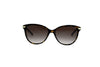 BURBERRY BE4216 Sunglass