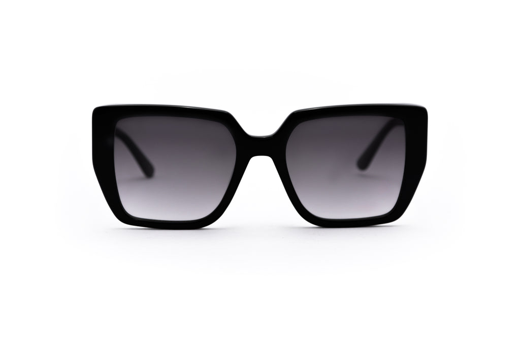 K LAGERFELD KL6036 Sunglass online in India – premium sunglasses for men and women