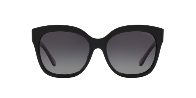 COACH HC8264 Sunglass