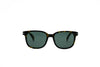DAVID BECKHAM DB 1177/S Sunglass | High end optical frames | SpecsBunker India | branded eyeglasses in India