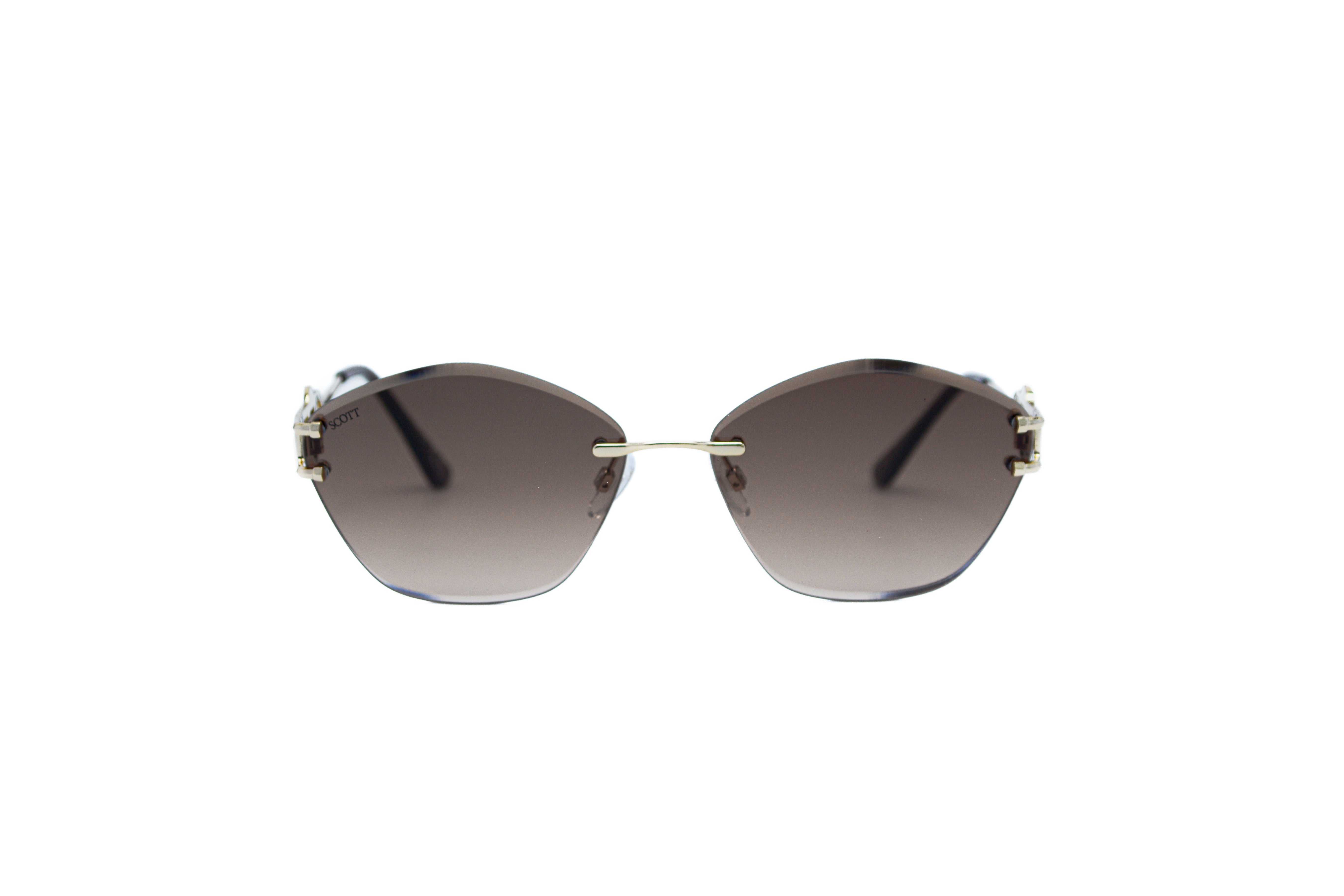 SCOTT SC3170 Kristin Sunglass | Designer sunglasses for men and women | SpecsBunker India – premium sunglasses collection