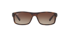 Ray-Ban Sunglass