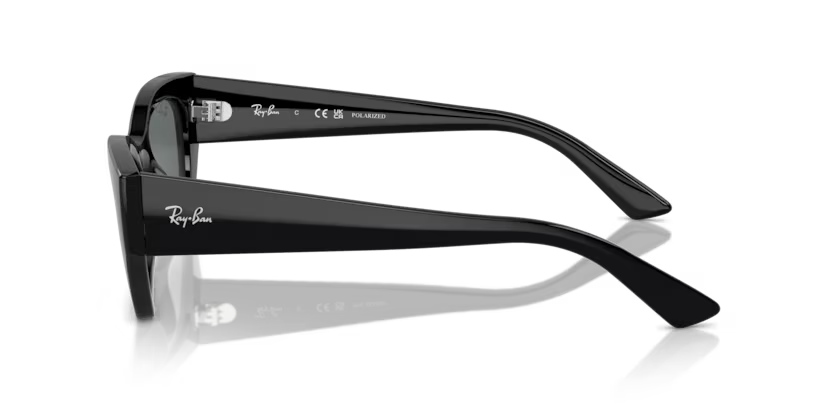 RAY-BAN RB4430 Sunglass