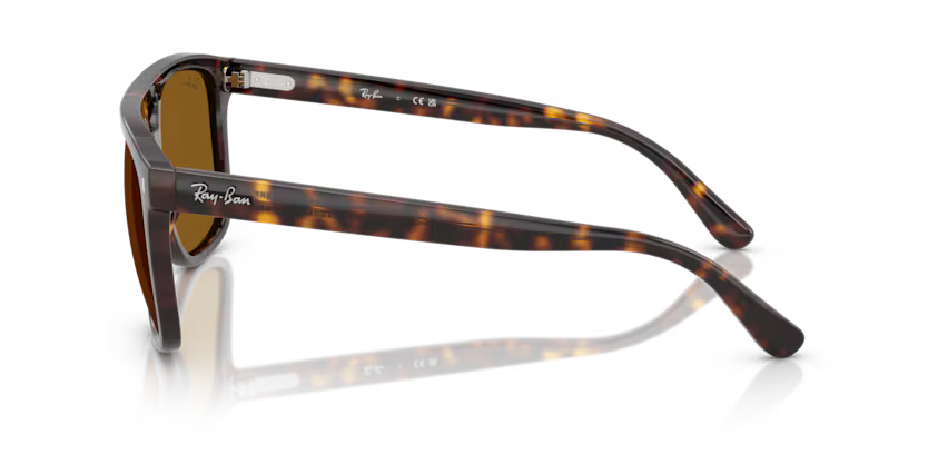 RAY-BAN RB2213 Sunglass