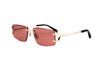 PHILIPP PLEIN SPP276M Sunglass