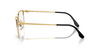 RAY-BAN RX6494 Optical Frame
