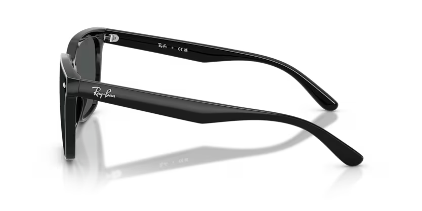 RAY-BAN RB4466D Sunglass