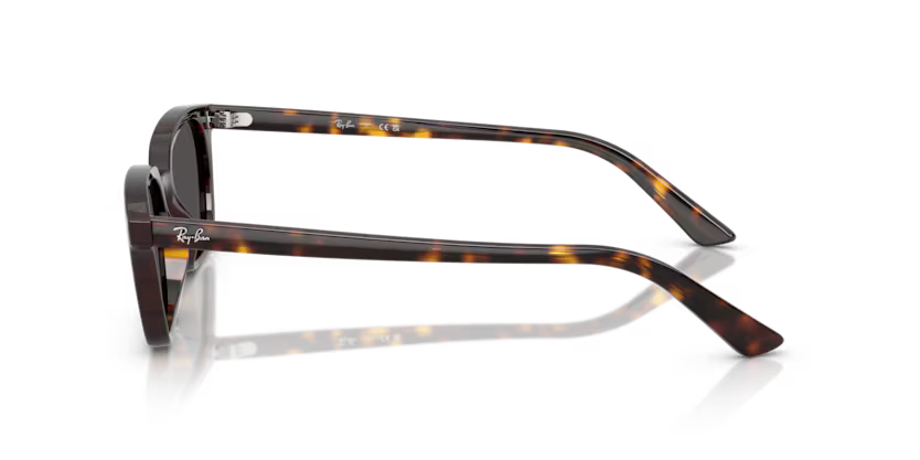 RAY-BAN RB4456 Sunglass