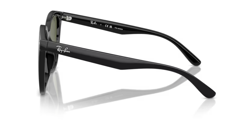 RAY-BAN RB4423D Sunglass