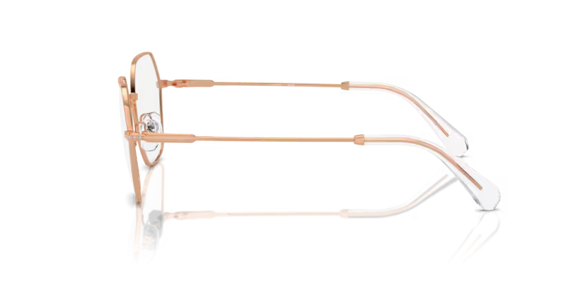 SWAROVSKI SK1011 Optical Frame