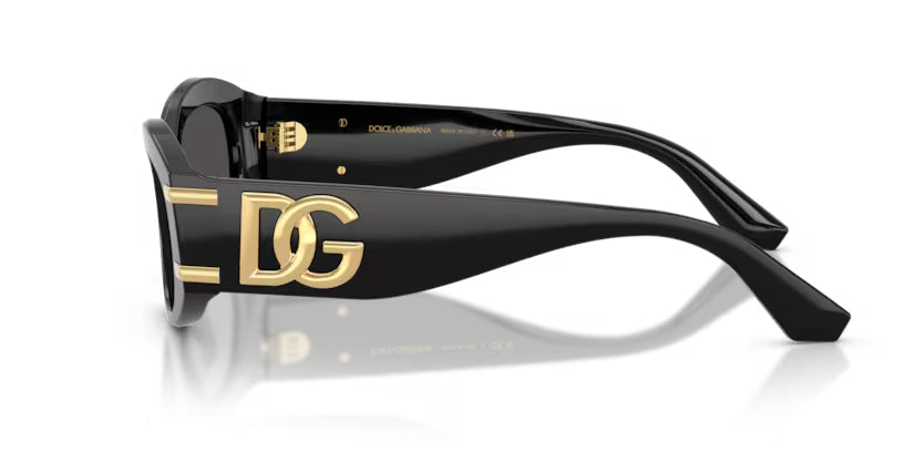 DOLCE & GABBANA DG4502 Sunglass