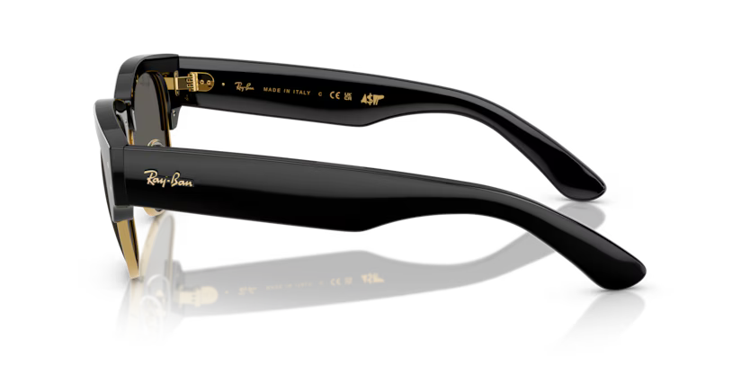 RAY-BAN RB0316S Sunglass