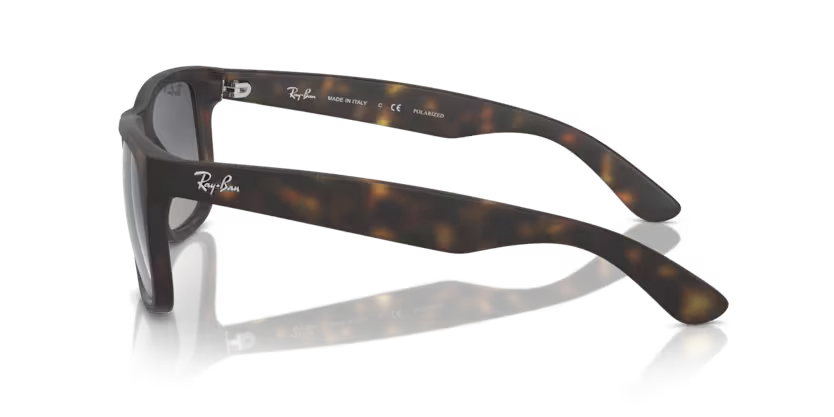 RAY-BAN RB4165 Sunglass