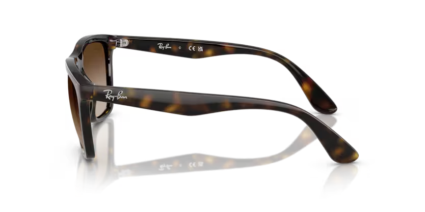 RAY-BAN RB4442I Sunglass