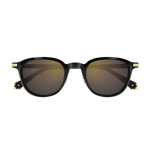 CARTIER CARTIER CT0541SA Sunglass black wayfarer sunglass for Unisex