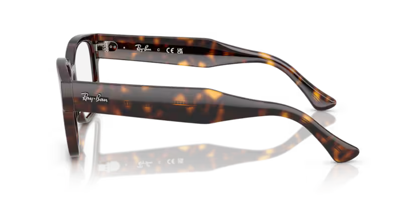 RAY-BAN RX7256 Optical Frame