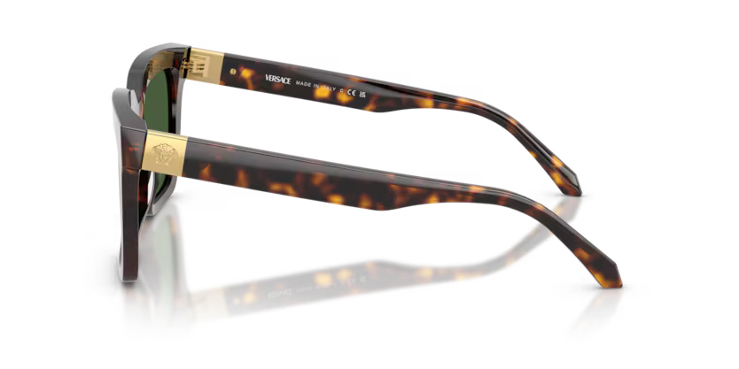 VERSACE VE4498 Sunglass