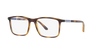 EMPORIO ARMANI EA3181 Optical Frame